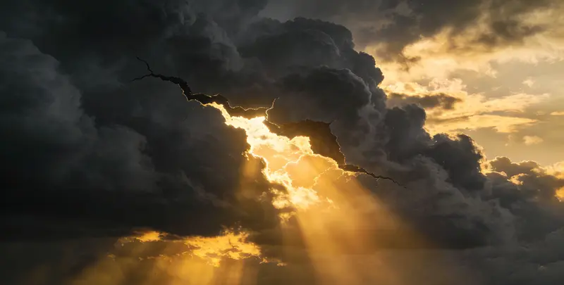 云浮肺癌靶向120基因检测（组织）图片1