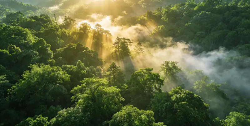 云浮肺癌119基因检测图片1