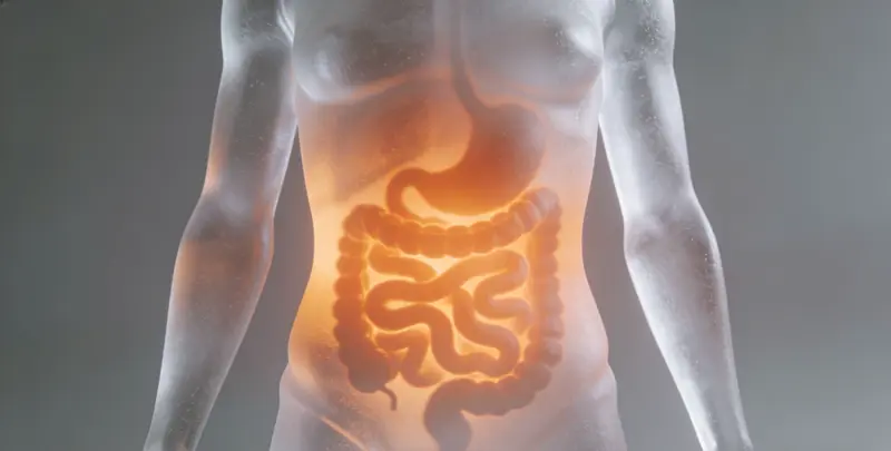 云浮肠癌甲基化检测图片1